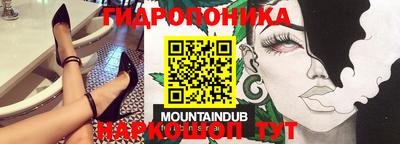 дурь Гусиноозёрск